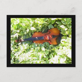 Tarjeta postal de postcard Fiddle y Ivy Violin