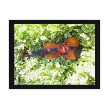 Tarjeta postal de postcard Fiddle y Ivy Violin