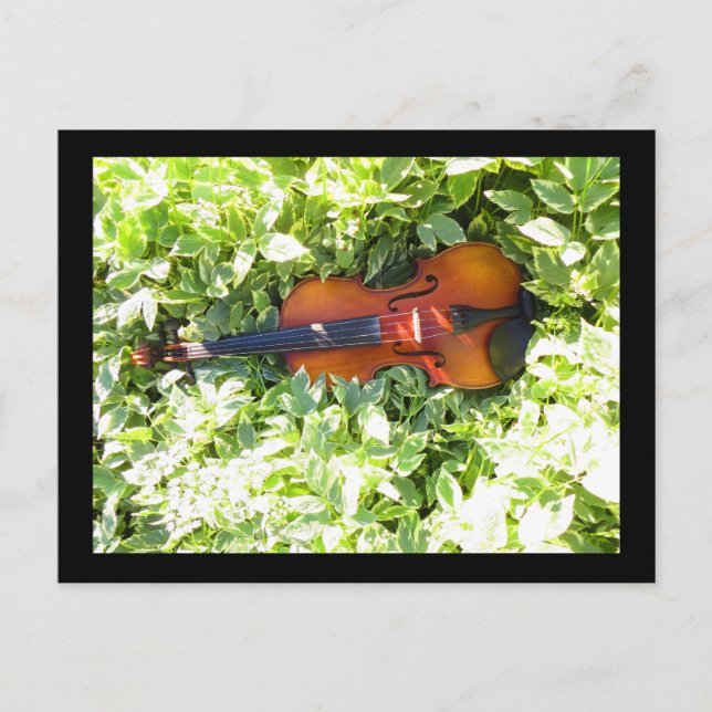 Tarjeta postal de postcard Fiddle y Ivy Violin (Anverso)