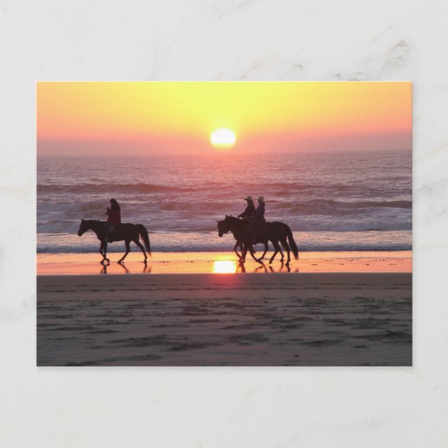 Tarjeta postal de puesta de sol con caballo (Anverso)