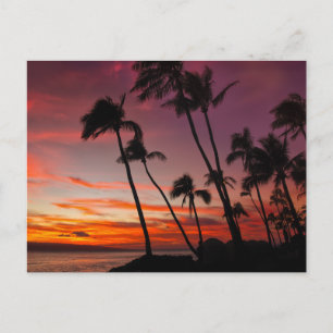 Tarjeta postal de puesta de sol en la playa de una