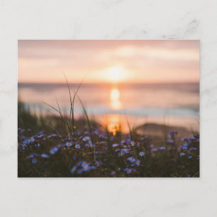 Tarjeta postal de puesta de sol en una isla de pla