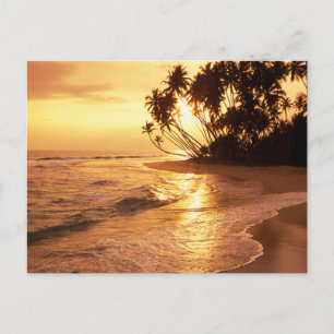 Tarjeta postal de puesta de sol en una isla de pla