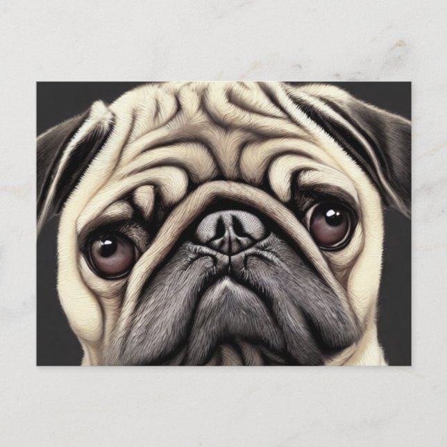 Tarjeta postal de pug (Anverso)