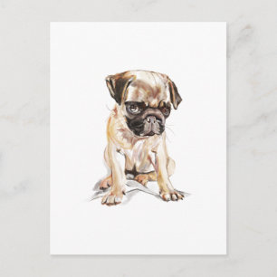 Tarjeta Postal de Pug – Ilustración de Perro Dibuj