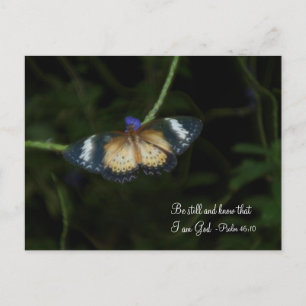 Tarjeta Postal de Quietud