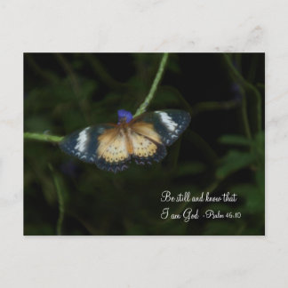 Tarjeta Postal de Quietud