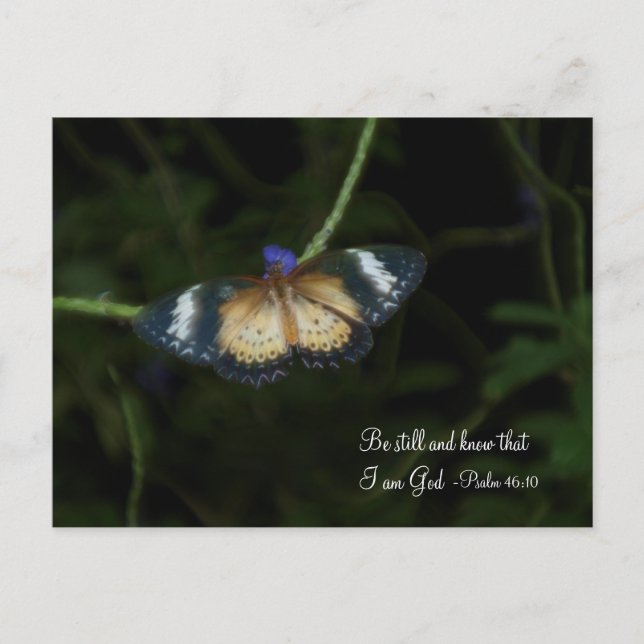 Tarjeta Postal de Quietud (Anverso)