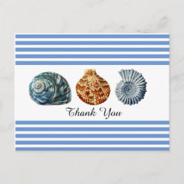 Tarjeta Postal de Raya Azul con Conchas de Mar