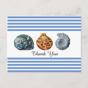 Tarjeta Postal de Raya Azul con Conchas Marinas