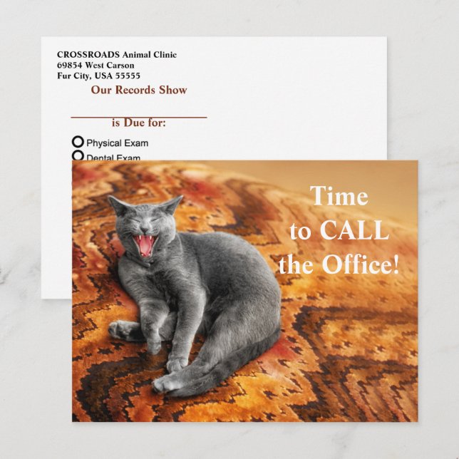 Tarjeta postal de recordatorio de cita para gatos  (Anverso / Reverso)