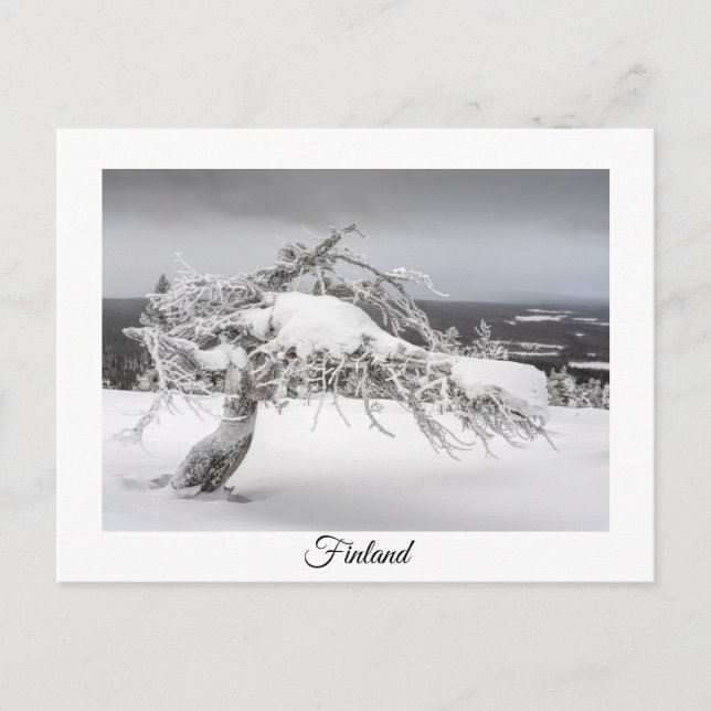 Tarjeta postal de recuerdo de invierno de Finlandi (Anverso)