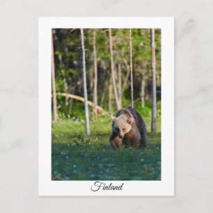 Tarjeta postal de recuerdo de naturaleza de Finlan