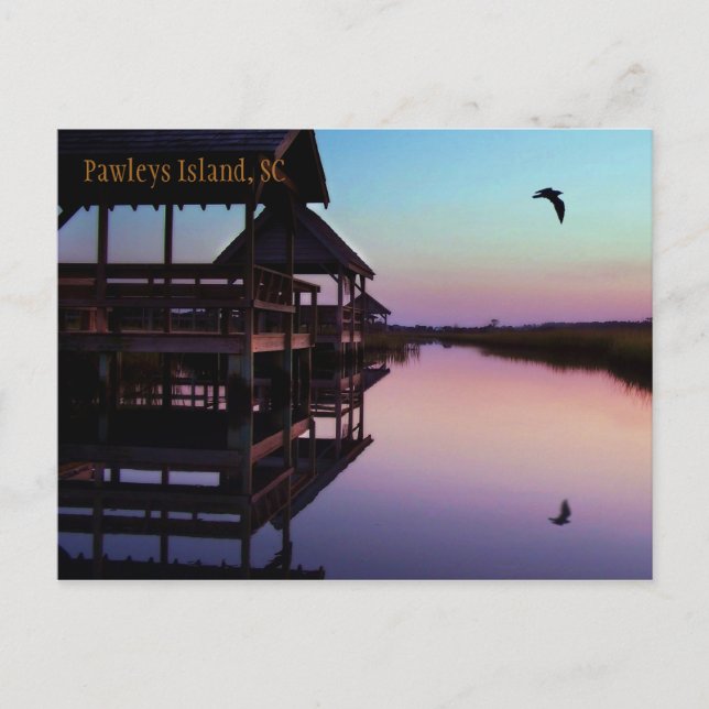 Tarjeta postal de recuerdo de Pawleys Island (Anverso)