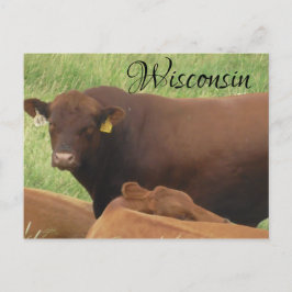 Tarjeta postal de recuerdo para fotografías de vac