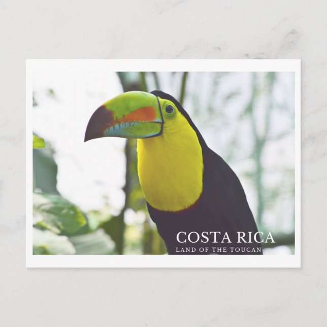 Tarjeta postal de recuerdo para turistas de Costa  (Anverso)