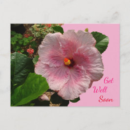 Tarjeta Postal de Recupera pronto con Hibisco Rosa