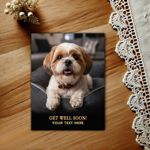 Tarjeta postal de recuperación Adorable Shih Tzu