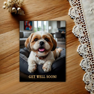 Tarjeta postal de recuperación de adorable Shih Tz