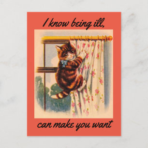 Tarjeta postal de recuperación de gatito