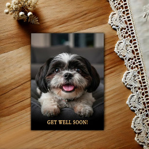 Tarjeta postal de recuperación para adorable Shih 
