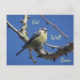 Tarjeta postal de recuperación pronto Little Bird 