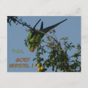 Tarjeta postal de recuperación pronto para la coto