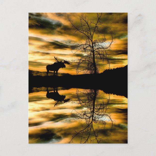   Tarjeta postal de reflexión (Anverso)