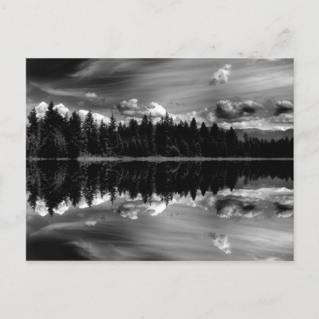 Tarjeta postal de reflexión en blanco y negro (Anverso)
