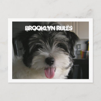 TARJETA POSTAL DE REGLAS DE BROOKLYN