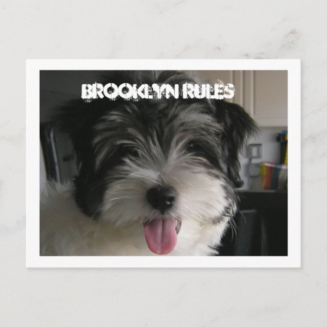 TARJETA POSTAL DE REGLAS DE BROOKLYN (Anverso)