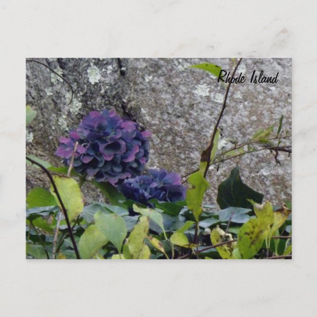 Tarjeta postal de Rhode Island (Anverso)