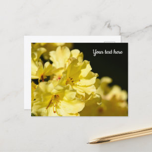 Tarjeta postal de Rhododendron amarillo