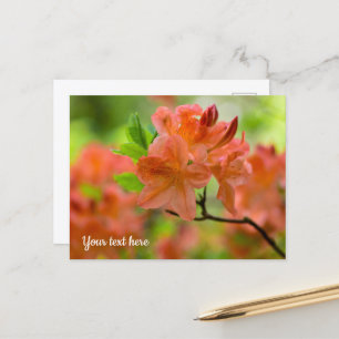 Tarjeta postal de Rhododendron naranja
