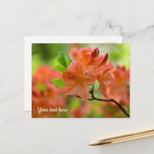 Tarjeta postal de Rhododendron naranja