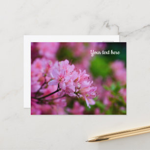 Tarjeta postal de Rhododendron rosa