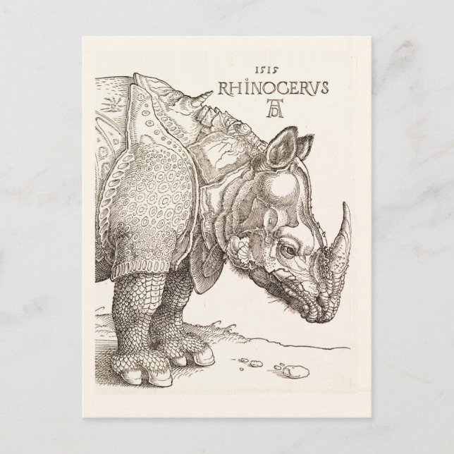 Tarjeta postal de rinocerontes de época (Anverso)