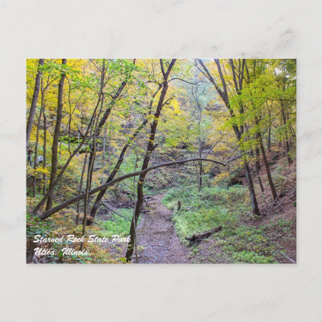 Tarjeta postal de Rock Hambriento (Anverso)