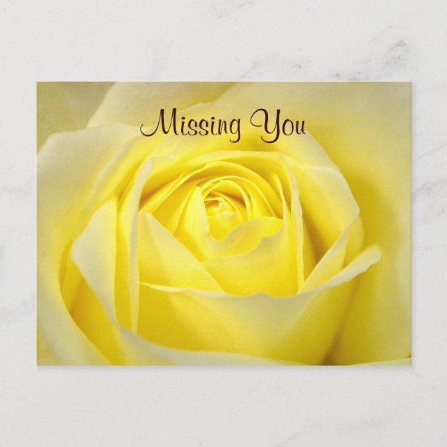 Tarjeta postal de rosa amarilla (Anverso)