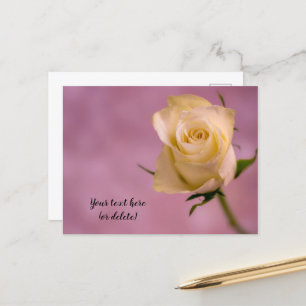 Tarjeta postal de rosa blanca única