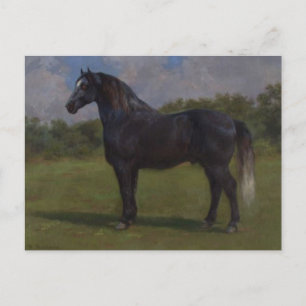 Tarjeta postal de Rosa Bonheur Madere
