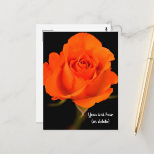 Tarjeta postal de rosa naranja única