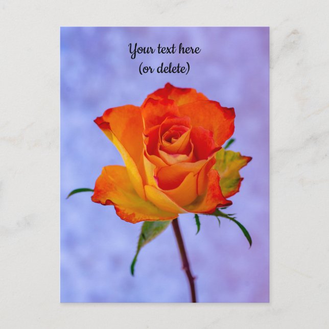 Tarjeta postal de rosa naranja y amarilla única (Anverso)