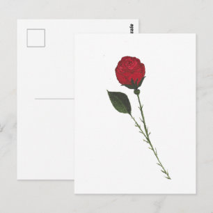 Tarjeta postal de rosa roja