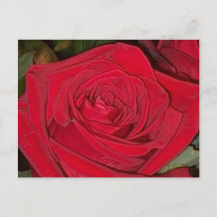 Tarjeta Postal de Rosa Roja Radiante