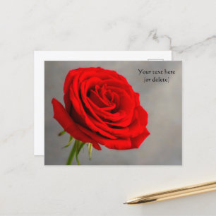 Tarjeta postal de rosa roja única