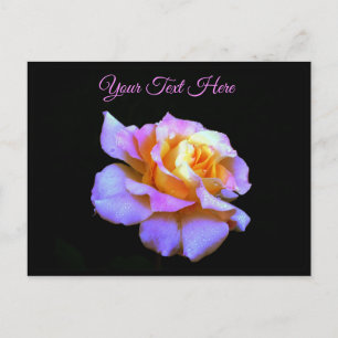 Tarjeta postal de rosa teñida de rosa *personaliza