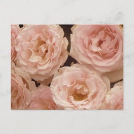 Tarjeta postal de Rosas preciados