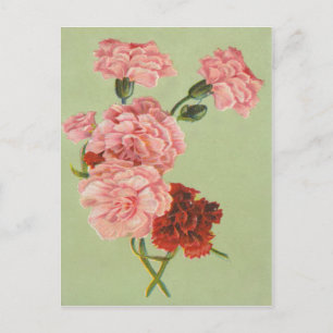 Tarjeta postal de rosas retro vintage
