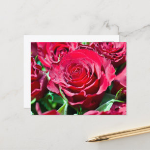 Tarjeta postal de rosas rojas